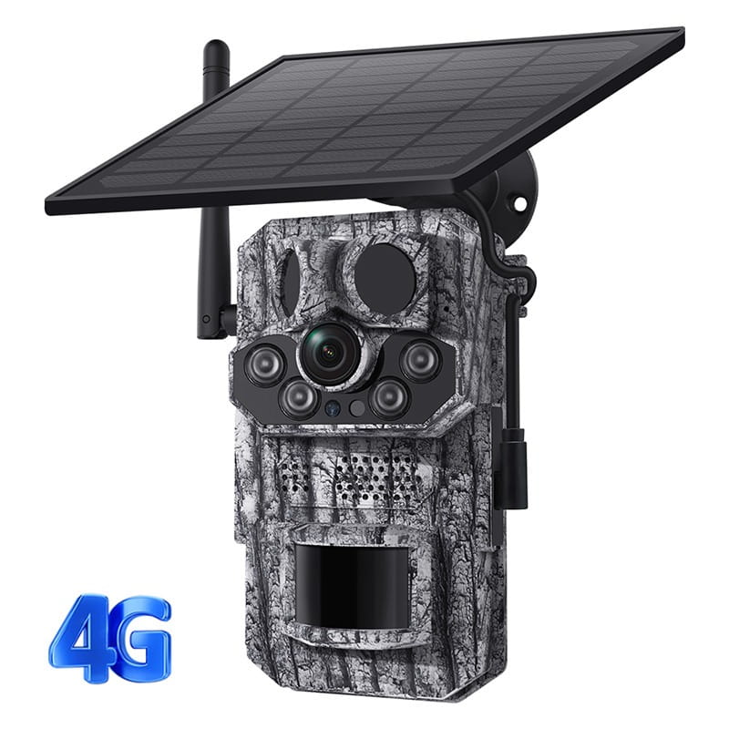 PHOTO-2025-03-10-09-04-38